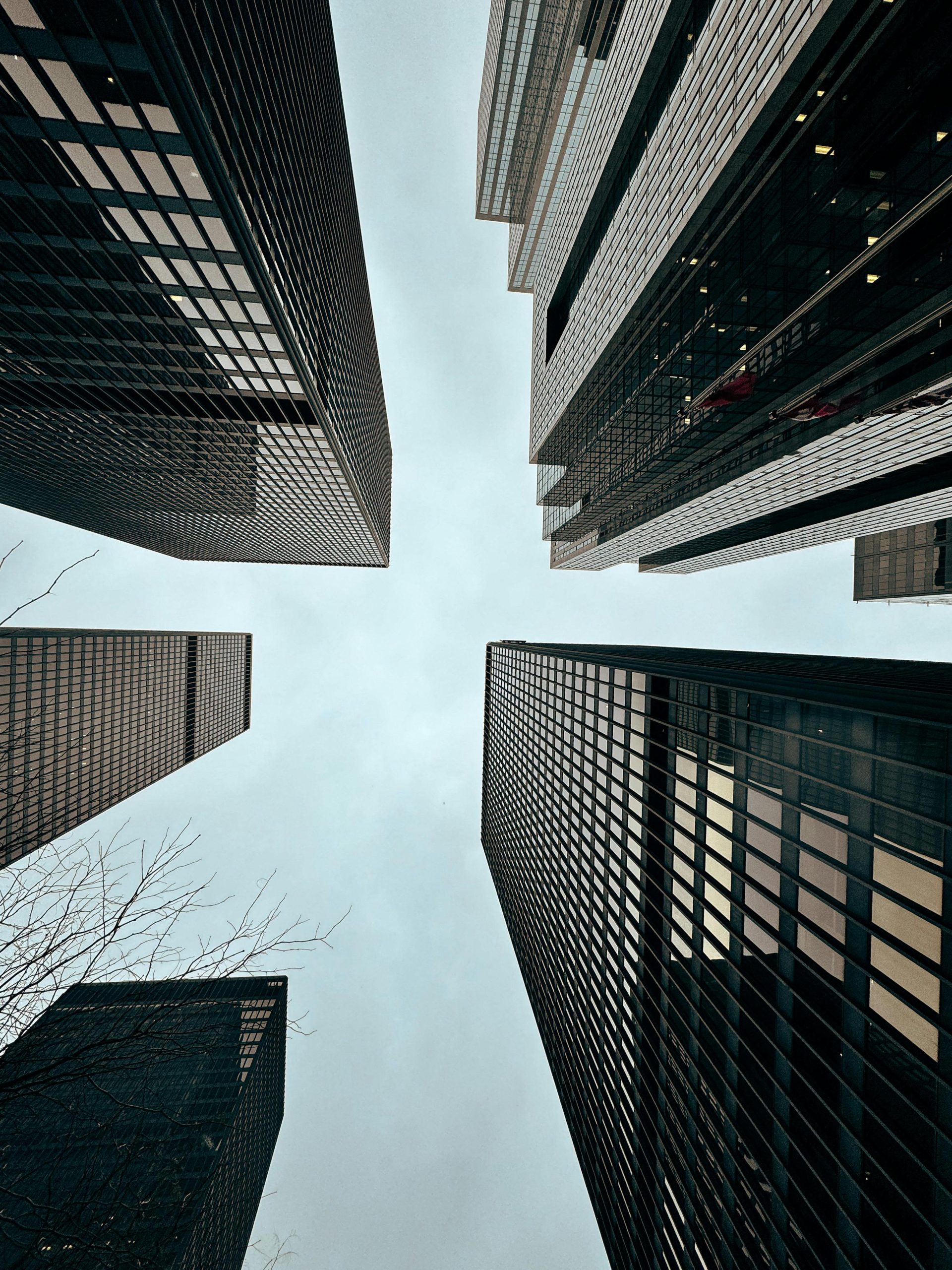 Que hacemos - Nuestros pilares